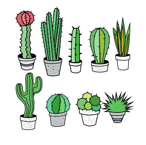 Download High Quality cactus clipart aesthetic Transparent PNG Images ...