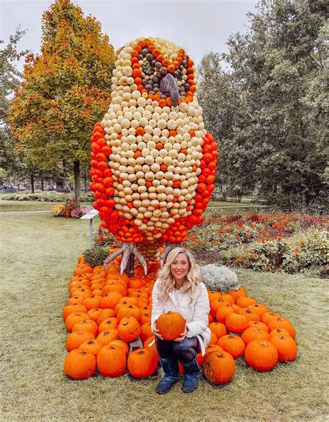 Ultimate Guide to the Best Pumpkin Patches and Festivals in Germany