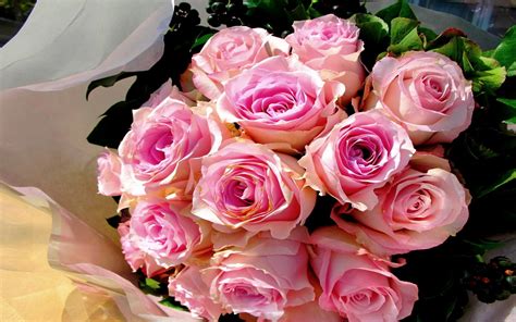 Pink rose bouquet HD wallpaper | Wallpaper Flare