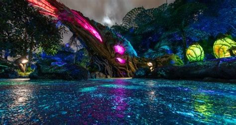 8 Favorite Things Found in Pandora - World of Avatar at Animal Kingdom in Walt Disney World ...