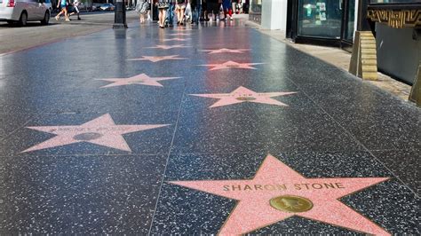 Construction on Hollywood Walk of Fame Will Begin Summer 2023 – NBC Los ...