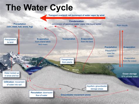 BioGeoChemical Cycles - Integrated Science 11