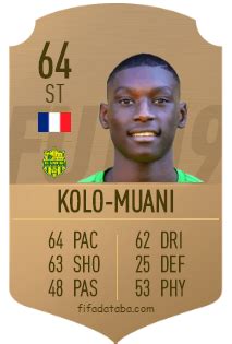 Randal Kolo-Muani FIFA 19 Rating, Card, Price