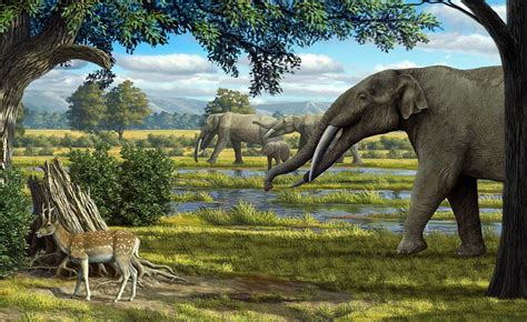 Wildlife Of The Miocene Era, Artwork #3 Photograph by Mauricio Anton - Fine Art America