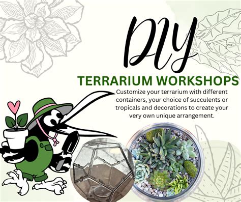 DIY Terrarium Workshop • Kiwi Nurseries Ltd