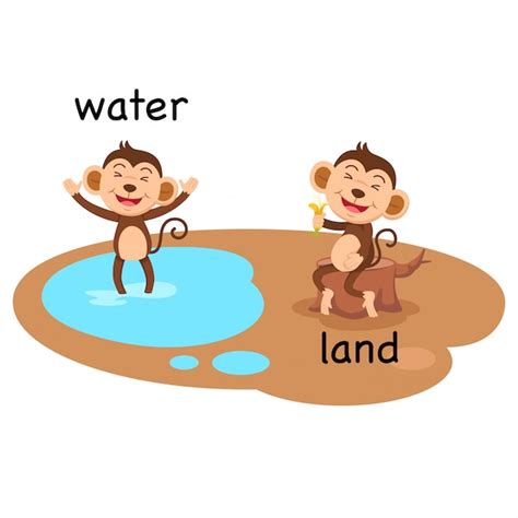 Opposite water and land vector illustration | Premium Vector