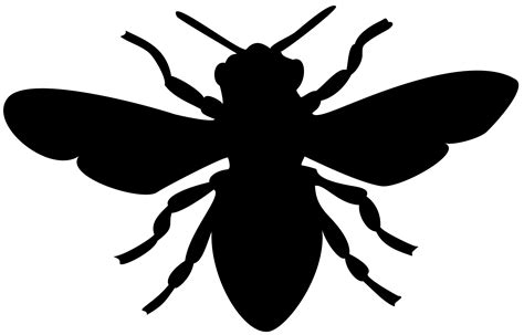 Bee Black Honey Vector Graphic