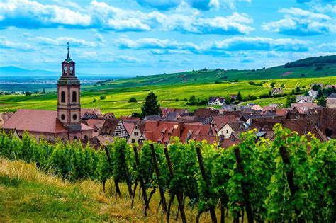 Alsace Full-Day Wine Tour From Colmar