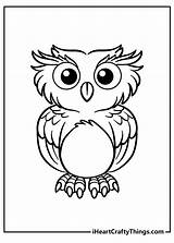 25 Wise Owl Coloring Pages sketch template