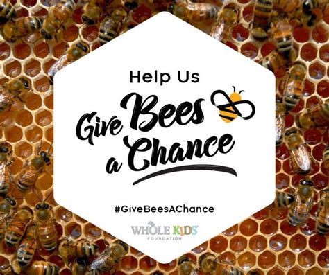 Save the Bees with the Whole kids Foundation