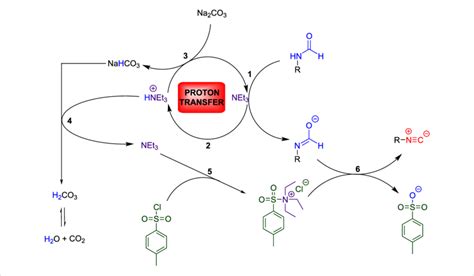 Scheme 4: Suggested proton transfer mechanism. | Download Scientific Diagram