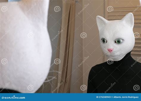 Cat Looking a Mirror Reflection Stock Image - Image of halloween, face ...