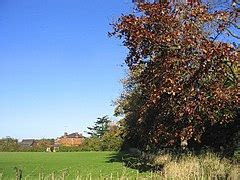 Category:Chipping Ongar - Wikimedia Commons