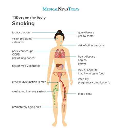 What You Need To Know: How Does Smoking Cause Atherosclerosis