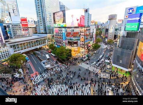 Tokyo. Aerial view of the Shibuya famous landmark, the scramble crossing surrounding by high ...