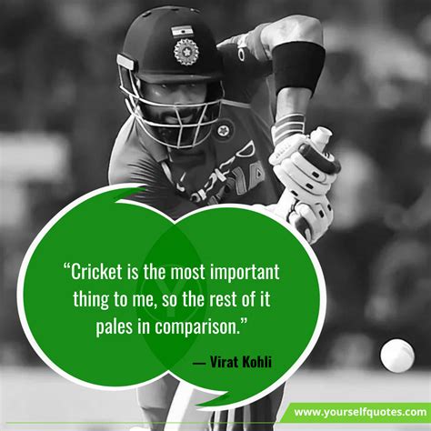 Most sensible 100 Cricket Quotes From The Highest Gamers Of The Global | My Blog