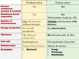 Lecture-1 Introduction to microbiology updated.pptx