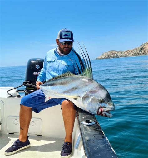 Fishing for roosterfish in Cabo San Lucas - Tag Cabo Sportfishing