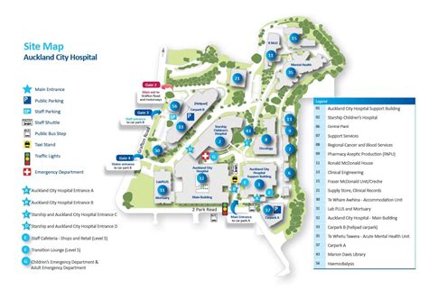 Auckland Hospital Map