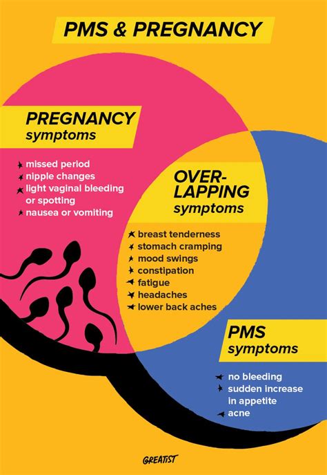 Cool Before Period Symptoms Insight - Pregnancy Symptoms