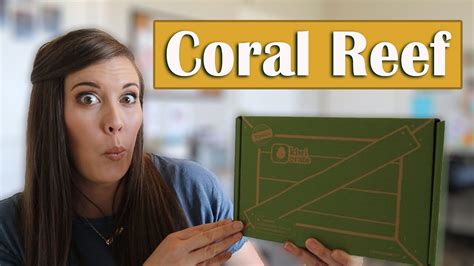 Kiwi Crate Unboxing October 2020 - Coral Reef - YouTube