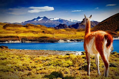 10 Stunning Sights in Patagonia, Chile - AllTheRooms - The Vacation Rental Experts