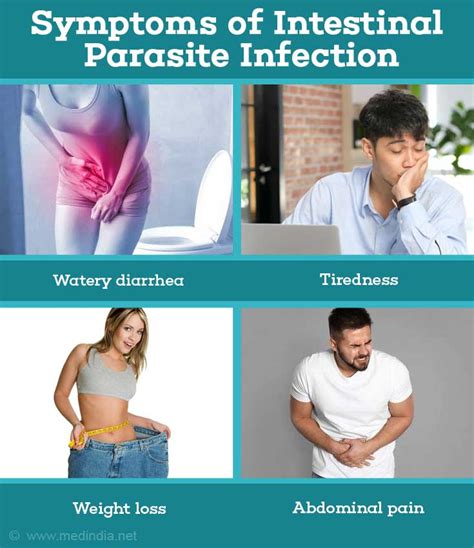 Intestinal Parasite Infection - Types, Causes, Symptoms, Diagnosis ...