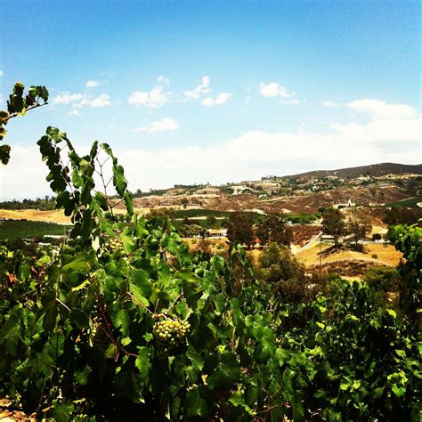 Wine Tour in Temecula, California | Wine tour, Places to go, Tours