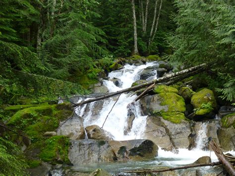 Places to Go, People to Meet: Hiking in the Pacific Northwest - Fifty ...