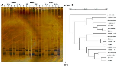 Prebiotic Properties of Non-Fructosylated α-Galactooligosaccharides from PEA (Pisum sativum L ...