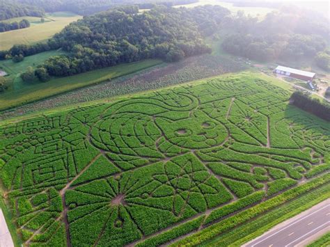 Creating A Corn Maze - The Farm