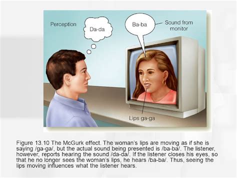 perceptionsense: Post 4- THE MCGURK EFFECT