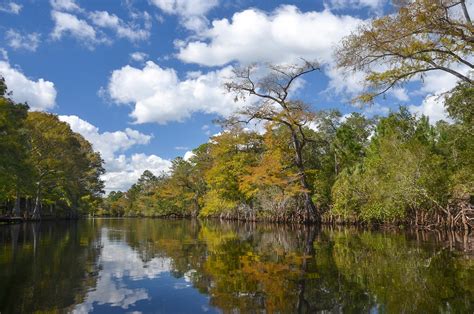 Florida Paddle Notes | Withlacoochee River