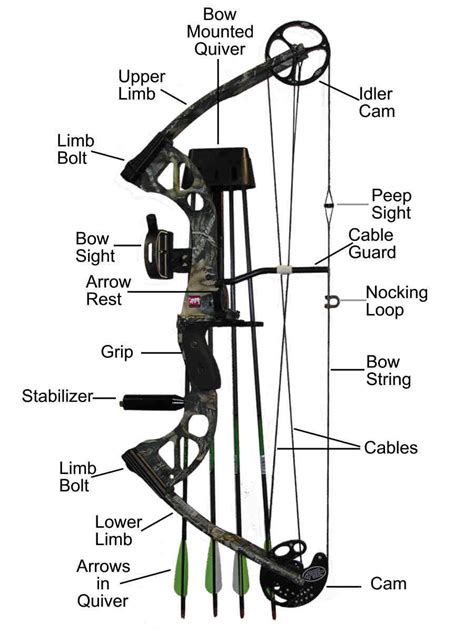 How to Identify the Parts of a Compound Bow [Beginners Guide 2022]