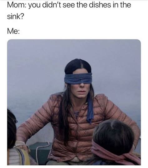 #birdbox #meme | Funny memes, Hilarious, Laugh