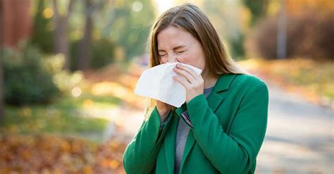 (Quiz) Allergies: Something to sneeze at | Genesis Healthcare System