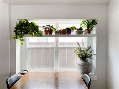 Window Plant Shelf | lupon.gov.ph