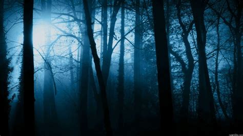 Creepy Forest Wallpapers - Top Free Creepy Forest Backgrounds ...