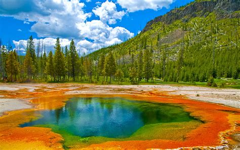 HD wallpaper: Geyser Yellowstone National Park Usa | Wallpaper Flare