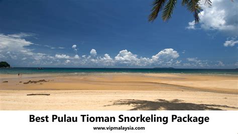 Best Pulau Tioman Snorkeling Package | vipmalaysia.com 1001 Best Destinations in Malaysia