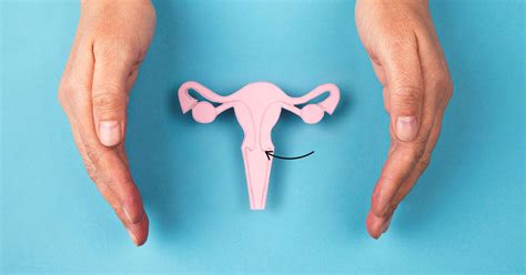 Bruised Cervix: Pain, Symptoms and Treatment Options – Carmesi