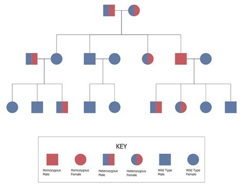 Autosomal Recessive Pedigree Chart Typically, these #genes don't ...