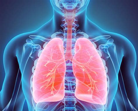 Chronic obstructive lung disease cases in India up from 28 to 55 million between 1990-2016: Study