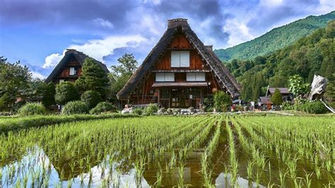 Gokayama, Fukushima, Gifu, Pumpkin Field, Shirakawa Go, Herefordshire, Natural Wonders, Windows ...