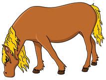 horse eating hay clipart - Clip Art Library