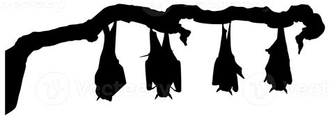 Sleeping Bat on the Branch Tree Silhouette for Halloween Poster, Art ...