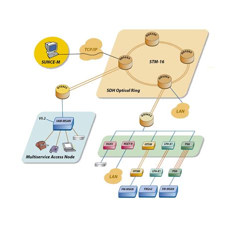 NMS OTN DWDM SDH SONET PDH