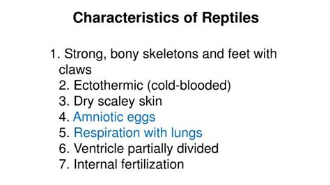 PPT - Reptiles PowerPoint Presentation - ID:3737034