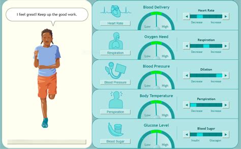 Homeostasis Diagram | Quizlet