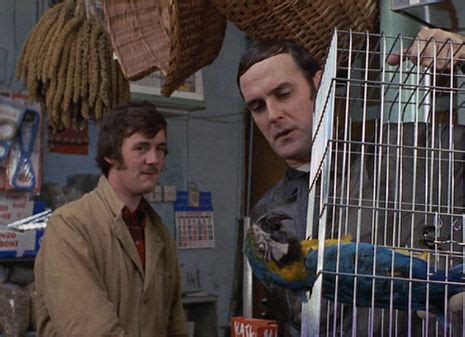 Monty Python: The true story behind the ‘Dead Parrot Sketch ...